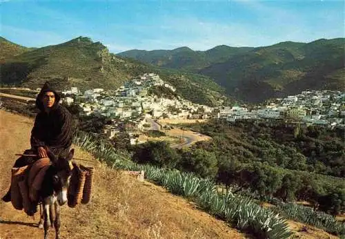 AK / Ansichtskarte  Moulay-Idris_Moulay-Idriss_Maroc La plus veneree du Maroc Panorama