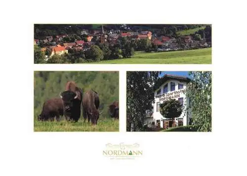 AK / Ansichtskarte  Stangerode Panorama Reit und Sporthotel Nordmann Bisons