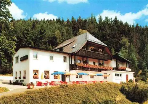 AK / Ansichtskarte  Wallenfels_Oberfranken Waldgasthof Lorchemuehle