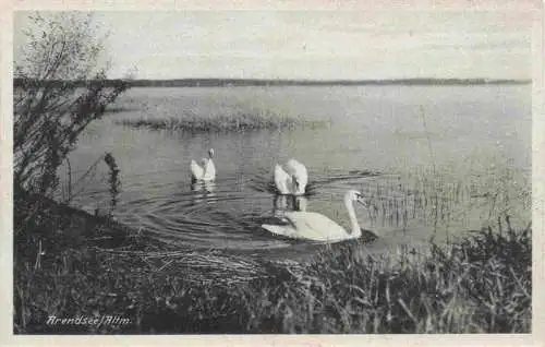 AK / Ansichtskarte  ARENDSEE_Mecklenburg_KueHLUNGSBORN_Ostseebad Schwanenteich