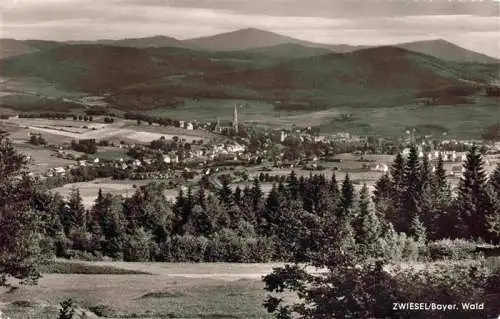 AK / Ansichtskarte  Zwiesel__Niederbayern Panorama Bayerischer Wald