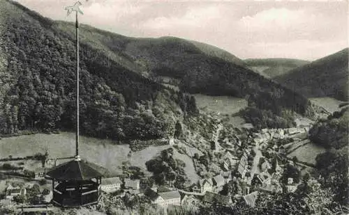 AK / Ansichtskarte  Zorge_Harz Panorama Luftkurort und Sommerfrische Blick vom Pferdchen