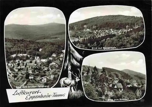 AK / Ansichtskarte  Eppenhain Fliegeraufnahme mit Gr Feldberg Blick auf Eppenhain und Rossert