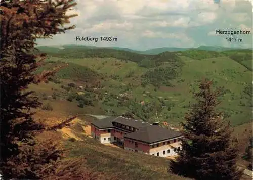 AK / Ansichtskarte  Wiedener-Eck_Wieden_BW Jugendherberge Belchen mit Schullandheim Feldberg und Herzogenhorn