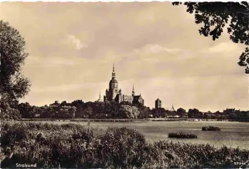 AK / Ansichtskarte  STRALSUND Uferpartie am Wasser Blick zur Stadt