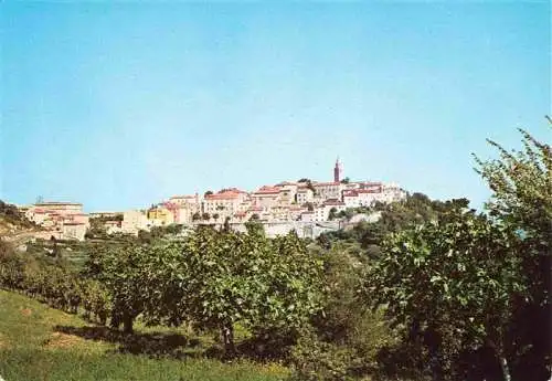 AK / Ansichtskarte  Labin_Albona Panorama
