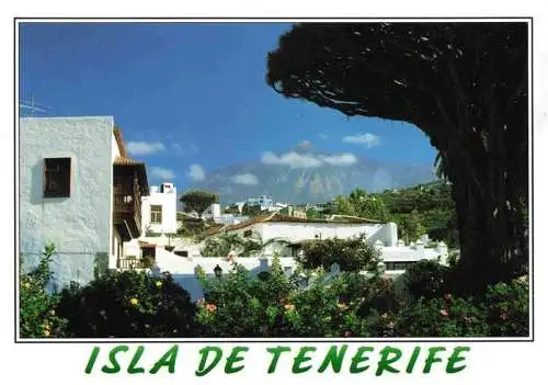 AK / Ansichtskarte  Icod_de_los_Vinos_Tenerife_Islas_Canarias_ES Blick zum Teide Vulkan