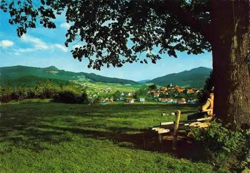 AK / Ansichtskarte  Bodenmais Panorama Hoehenluftkurort mit Silberberg Bayerischer Wald