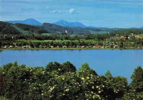 AK / Ansichtskarte  Waging_See Panorama Waginger See Campingplatz Blick gegen Hochfelln und Hochgern