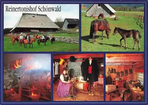 AK / Ansichtskarte  Schoenwald_Schwarzwald Reintertonishof Schoenwald Reiterhof Bauernhofmuseum Details