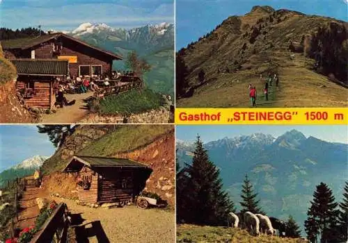 AK / Ansichtskarte  Texelgruppe_Dolomiti_IT Gasthof Steineg Mutspitze Meraner Hoehenweg Motiv mit Ifinger