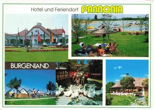 AK / Ansichtskarte  Pamhagen Hotel und Feriendorf Pannonia Radfahren Gaense Terrasse Liegewiese