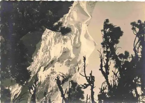 AK / Ansichtskarte  Silberhoerner_Silberhorn_3695m_Finsteraarhorn_BE Panorama