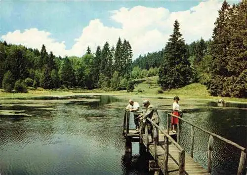 AK / Ansichtskarte  Lakenhaus Steg am Lakenhausteich