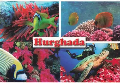 AK / Ansichtskarte 73980937 Hurghada_Egypt Zauber der Unterwasserwelt
