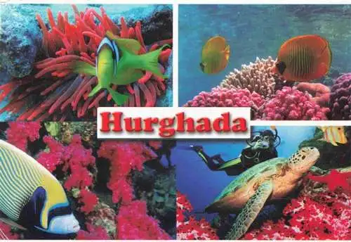 AK / Ansichtskarte  Hurghada_Egypt Zauber der Unterwasserwelt