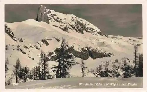 AK / Ansichtskarte 73981065 Sturzhahn_2028m_Tauplitzalm_Dachstein_AT mit Weg zu den Tragin