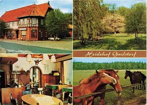 AK / Ansichtskarte  Garlstorf_Walde Gasthaus Heidehof Gaststube Pferdekoppel