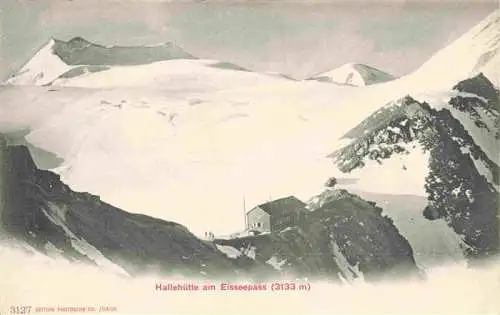 AK / Ansichtskarte  Virgen__Tirol_AT Hallehuette am Eisseepass Gletscher Alpen