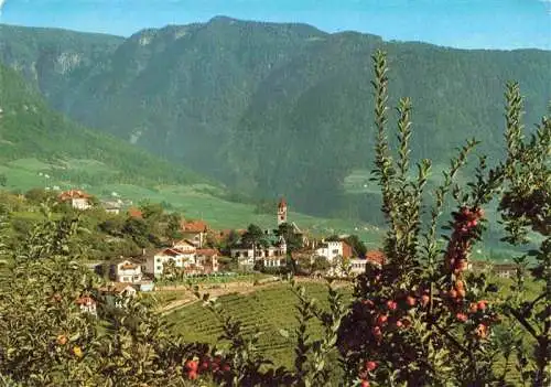 AK / Ansichtskarte 73981462 Tirolo_Tirol_Dorf_Merano_Bolzano_IT Panorama
