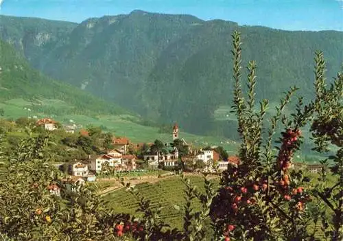 AK / Ansichtskarte  Tirolo_Tirol_Dorf_Merano_Bolzano_IT Panorama