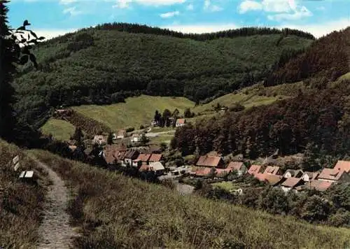 AK / Ansichtskarte  Sieber_Herzberg_am_Harz Siebertal mit Bergcafe