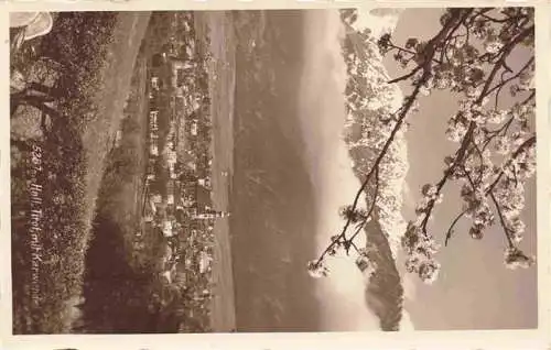 AK / Ansichtskarte 73981639 Hall_Tirol_AT Panorama Blick gegen Karwendel Baumbluete