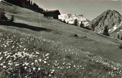 AK / Ansichtskarte  Adelboden_BE Trollius auf der Hohliebe Blick gegen Wildstrubel und Fitzer Berner Alpen