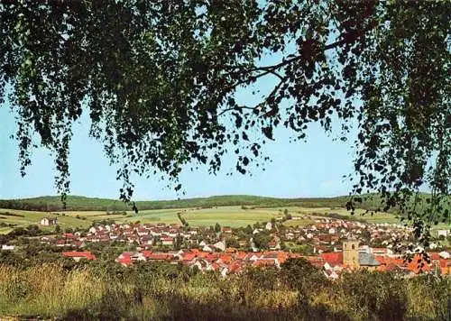 AK / Ansichtskarte  Neukirchen_Waldeck Panorama