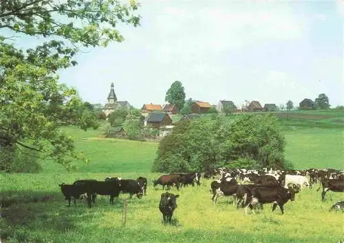 AK / Ansichtskarte  Waldkirchen_Vogtland Panorama Kuhherde