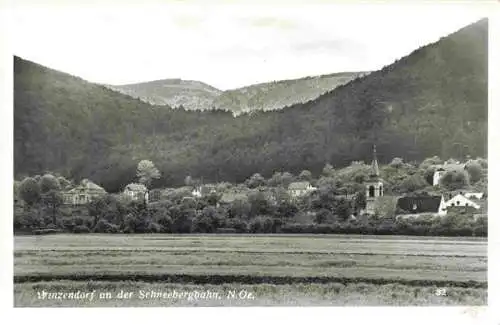 AK / Ansichtskarte  Winzendorf-Muthmannsdorf_Niederoesterreich_AT Panorama