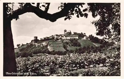 AK / Ansichtskarte  Neu-Leiningen_Neuleiningen_Rheinland-Pfalz Panorama Blick von Osten