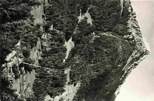 AK / Ansichtskarte  Niesen-Kulm_2362m_BE Niesenbahn Tracé mit Talstation und Kulm