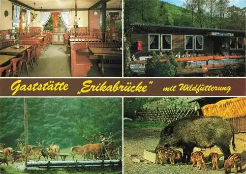 AK / Ansichtskarte  Bad_Lauterberg Gaststaette Erikabruecke mit Wildfuetterung