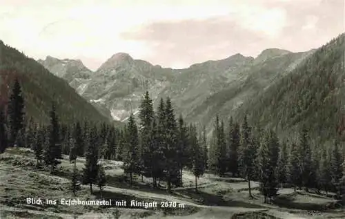 AK / Ansichtskarte 73981998 Kartitsch_Osttirol_AT Panorama Blick ins Erschbaumertal mit Kinigatt Karnische Alpen