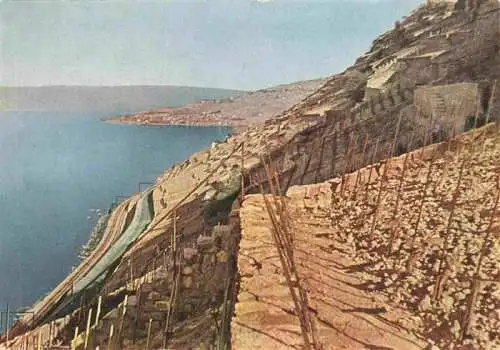 AK / Ansichtskarte  Cully__VD Weinberg La Borne im Winter im Herzen des Dézaley Genfersee