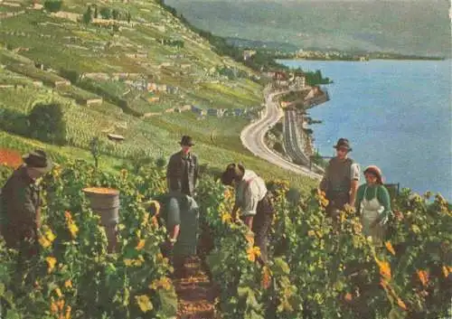 AK / Ansichtskarte  St_Saphorin_Lavaux_VD Weinleise Roche Ronde