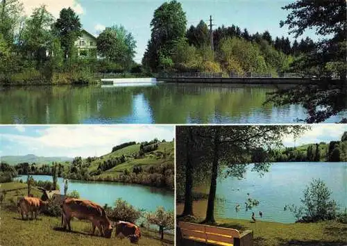 AK / Ansichtskarte  Winkeln_St_Gallen_Kanton Restaurant Gruebsensee Viehweide Uferpartie am See