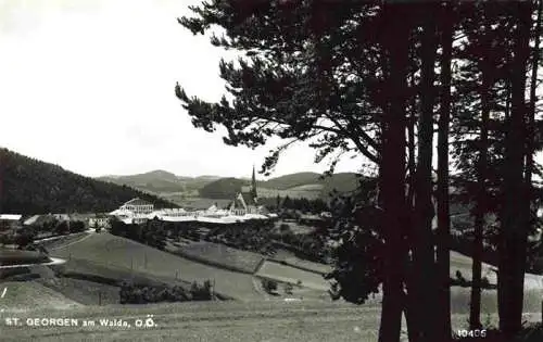 AK / Ansichtskarte  St_Georgen_am_Walde_Perg_Oberoesterreich_AT Panorama