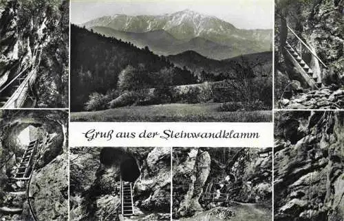 AK / Ansichtskarte  Steinwandklamm_Furth Teilansichten Panorama