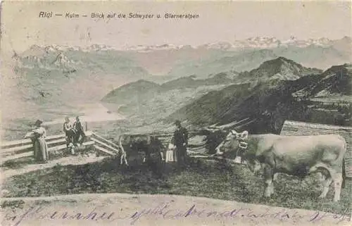AK / Ansichtskarte  Rigi_Kulm_1798m_SZ Panorama Blick auf die Schwyzer und Glarneralpen