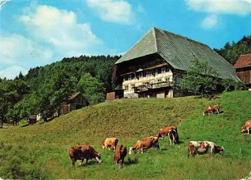 AK / Ansichtskarte  Lauterbach_Schwarzwald Hasenbauernhof