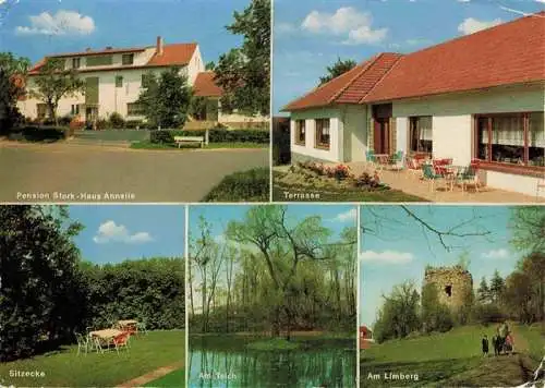 AK / Ansichtskarte 73982516 Bad_Holzhausen_Luebbecke_Preussisch_Oldendorf_NRW Pension Stork Haus Annelie Terrasse Sitzecke Am Teich Am Limberg