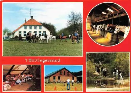 AK / Ansichtskarte  Uffelte_Drenthe_NL Manege kampeerboerderij 't Holtingerzand