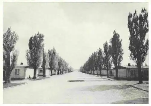 AK / Ansichtskarte 73983188 Dachau Lagerstrasse Repro