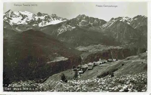 AK / Ansichtskarte  Molare_Piemonte_Italia Campo Tencia Passo Campolungo