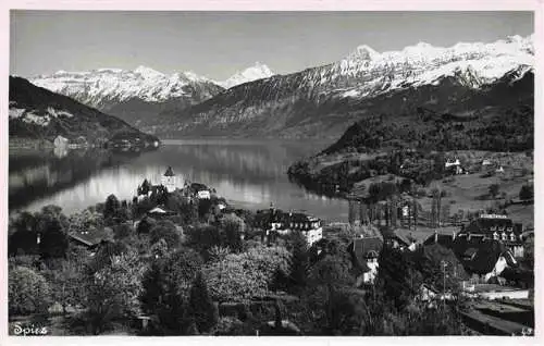 AK / Ansichtskarte  SPIEZ_Thunersee_BE Panorama