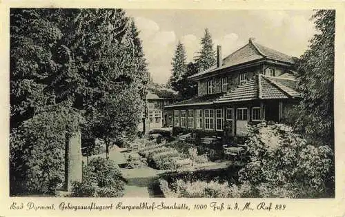 AK / Ansichtskarte  BAD_PYRMONT Gebirgsausflugsort Burgwaldhof Sennhuette