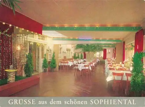 AK / Ansichtskarte  Sophiental_Braunschweig Waldhaus Sophienruh im Fuerstenauer Walde Restaurant