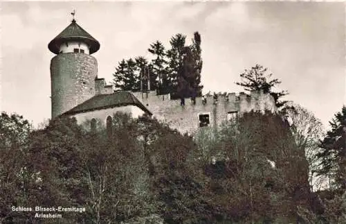 AK / Ansichtskarte  Arlesheim_BL Schloss Birseck Eremitage
